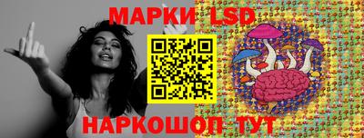 гидра Заволжье