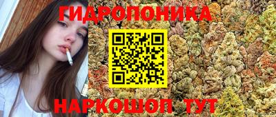 гидра Заволжье